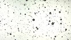 Bubbles rise slowly in a gelled substance. Stock Footage