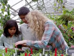 MS female botanist showing young students plants in research greenhouse. Stock Footage