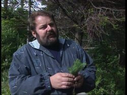 GERMANY: AIR POLLUTION KILLING TREES IN ERZGEBIRGE MOUNTAINS News Clip