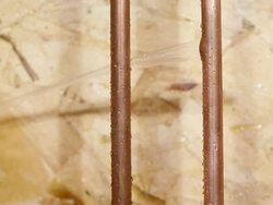 Frozen Cracked Copper Water Pipe Leaking onto House Frame Stock Footage