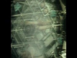 SYND 2-6-73 ASTRONAUTS PERFORM GYMNASTICS News Clip