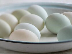 CU  Shot of Hand takes egg from plate / London, United Kingdom  Stock Footage