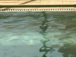 Pool - dead sea water Stock Footage
