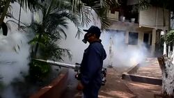 CLEAN : 1,000 Zika cases in Honduras since December News Clip