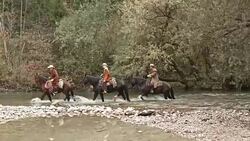 DS Three people crossing river on their horses Stock Footage