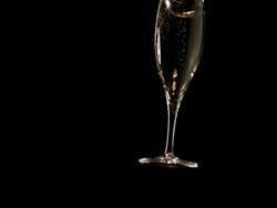 MS SLO MO Shot of Glass of champagne falling, breaking and splashing against black background / Calvados, Normandy, france Stock Footage
