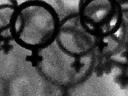 FEMALE : one red, white back - (LOOP) Stock Footage