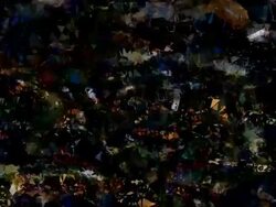 series transcendental fields : from provence, dark (LOOP) Stock Footage