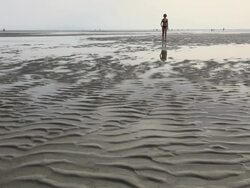 WS Shot of lady walking down in sea ebb tide at wadden sea, North Sea North Frisia, / St. Peter Ording, Schleswig Holstein, Germany Stock Footage