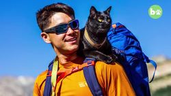 The Backpacking Cat Who Travels The US With His Human Instructional Video