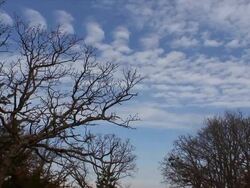 Cloudy Day Stock Footage