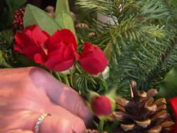 Falling oil prices could devastate Aberdeen News Clip