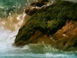 Moss HD1080, NTSC, PAL Stock Footage