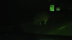 Zambia is facing its worst drought in 40 years... News Clip