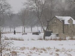 WS Man walking through park during winter / Minneapolis, Minnesota, USA Stock Footage