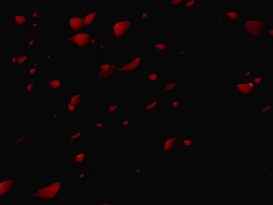 Red Rose Petals Falling with Alpha Stock Footage