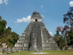 Tikal, Guatemala Stock Footage