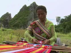 MS LA Shot of Woman weaving in field / Soe, Mt. Mutis, West Timor Indonesia Stock Footage