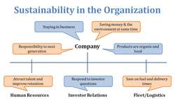 Sustainability in the Organization Instructional Video