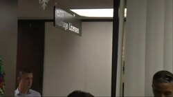 Miami judge weds gays and lesbians after ruling against ban News Clip