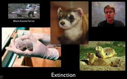 Population Variation Instructional Video