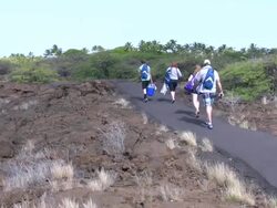 Hawaii nature trail hikers Stock Footage