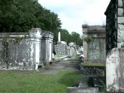 New Orleans cemetery wide shot to zoom Stock Footage