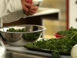 Someone cuts parsley with his hands in a bowl aluminum Stock Footage
