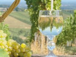 HD DOLLY: Vineyard Reflection In A Glass Stock Footage