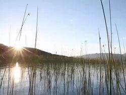 Photographer walks through marsh, takes DSLR pic of sunrise Stock Footage