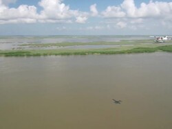 AERIAL WS Seaplane flying over delta gulf / New Orleans, Louisiana, United States Stock Footage