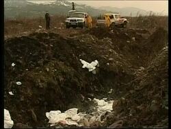 Culling in Georgia, protest against decision to cull birds in Egypt Instructional Video