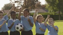 Team of soccer players celebrating Stock Footage