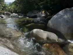 MS, River in tropical rainforest, Mossman, Queensland, Australia Stock Footage