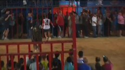 Why Mouse the ''killer'' is Spain''s most feared and revered bull Instructional Video