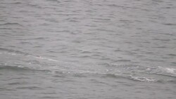 Russian cargo ship Elga 1 sinking at the Black sea in Bulgaria Stock Footage