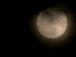 MOON RISE Stock Footage