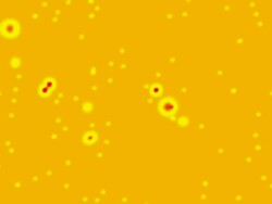 yellow cells loop Stock Footage