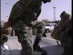 Reax to Herat fighting, troops leave for Herat, file News Clip