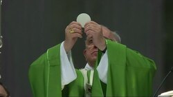 CLEAN : Pope backs reform as Church begins review on family marriage News Clip