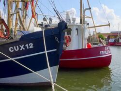 MS Shot of boats on old harbor, North Sea, North Frisia / Busum, Schleswig Holstein, Germany Stock Footage