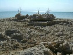 MS PAN View of Dead sea salt pans with sky reflection / Ein Bokek, Judea Desert, Israel Stock Footage