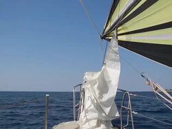 Sailing race along the coast Stock Footage