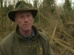 Andrew Wright Interview Re Storm Damage News Clip