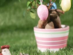 Easter scene on the meadow Stock Footage
