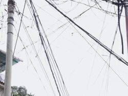 MS TD Electric poles near buildings / Caracas, Venezuela Stock Footage