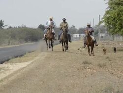 Cuban cowboys on horses riding in rural country near Trinidad Cuba Stock Footage