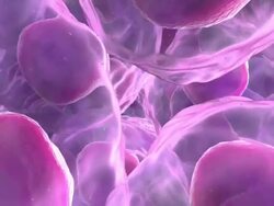 Cells, animation Stock Footage