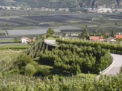 WS View of road through apple plantation and vineyard near Lebenberg  / Merano, Trentino, South Tyrol, Italy Stock Footage