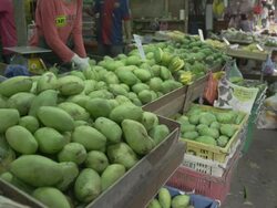 Khlong Toei Talat Wet Market Stock Footage